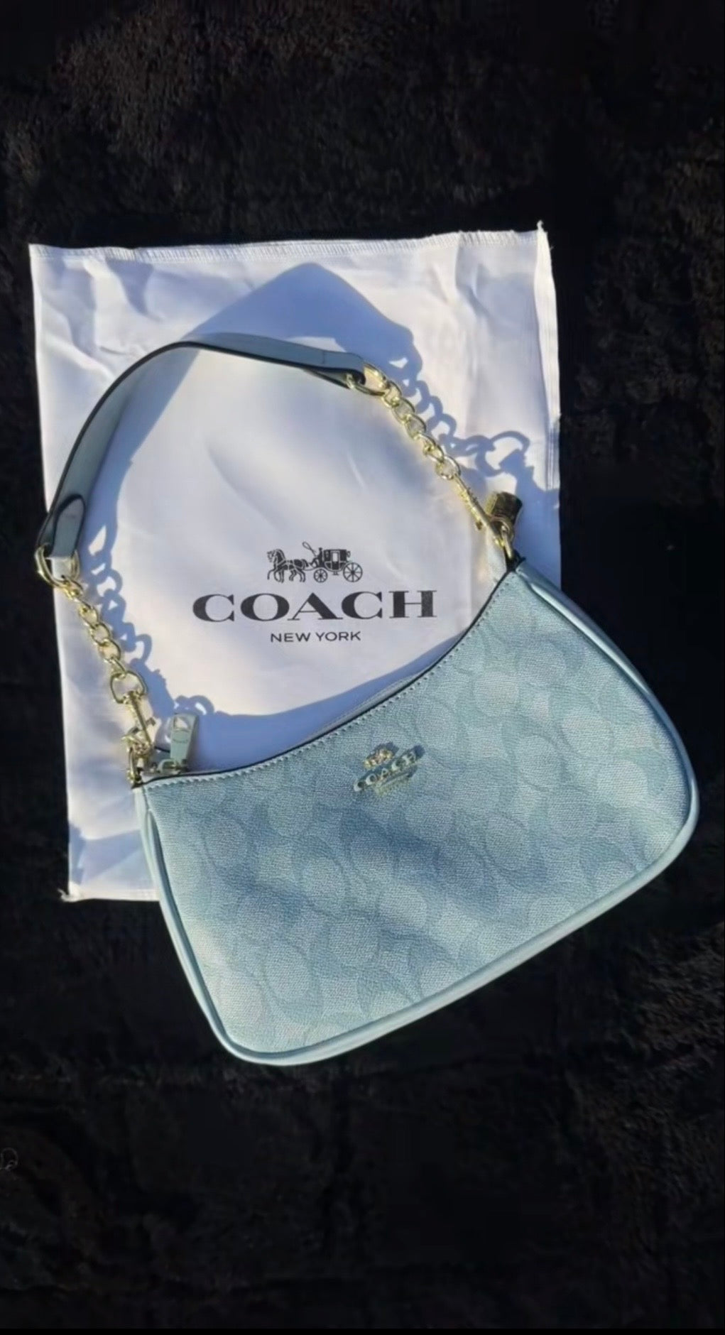 Coach bags